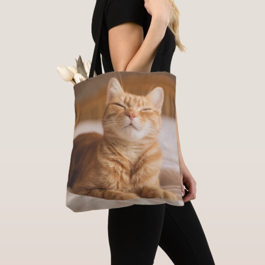 Schläfrige Katze Getty Bild-| Tasche (Von Nahem)