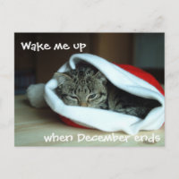 Schläfrige Katze in Weihnachtsmannmütze
