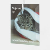 Schläfrige Katze in Weihnachtsmannmütze Ornament Aus Glas (Vorderseite links)