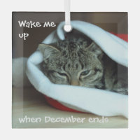 Schläfrige Katze in Weihnachtsmannmütze