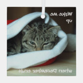 Schläfrige Katze in Weihnachtsmannmütze Ornament Aus Glas (Rückseite)