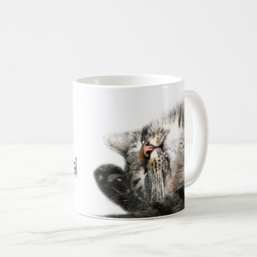 Schläfrige Katze will Kaffee Kaffeetasse (VorderseiteRechts)