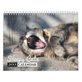 Schläfrige Katzen Foto Mauerkalender Kalender (Titelbild)