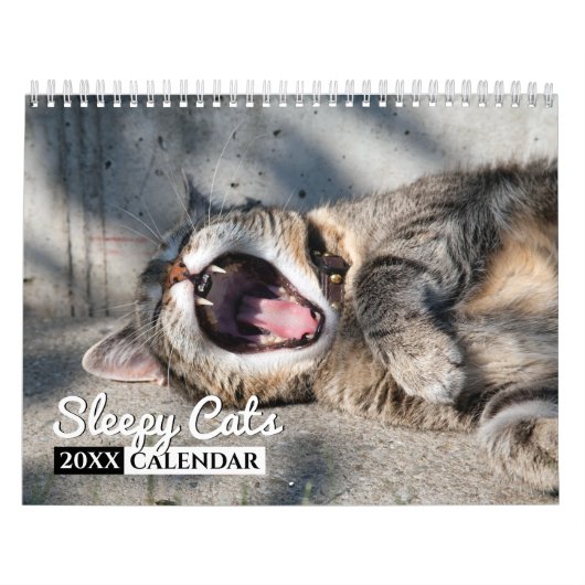 Schläfrige Katzen Foto Mauerkalender Kalender (Titelbild)