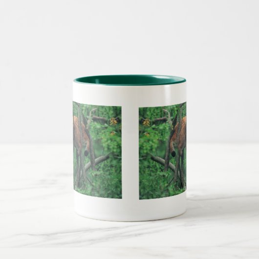 Schläfrige Katzen Zweifarbige Tasse (Mittel)