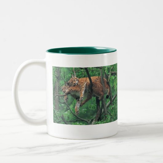 Schläfrige Katzen Zweifarbige Tasse (Links)