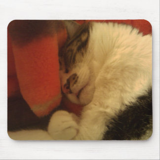 Schläfrige Miezekatze Mousepad