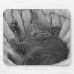 Schläfrige Miezekatze Mousepad