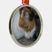 Schläfrige Miezekatze Silbernes Ornament (Rechts)