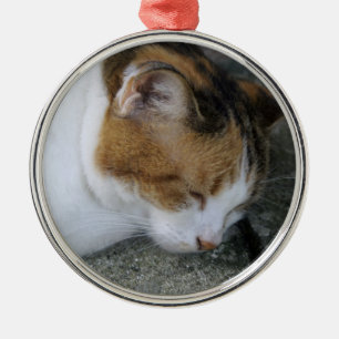 Schläfrige Miezekatze Silbernes Ornament
