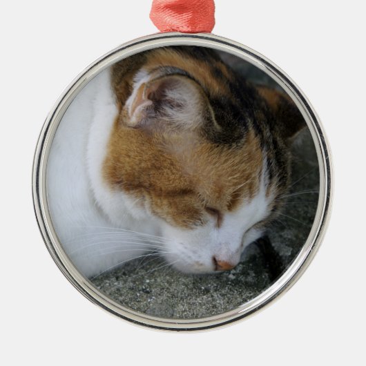 Schläfrige Miezekatze Silbernes Ornament (Vorne)
