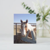 Schläfrige mit Augen Farbe Postkarte (Stehend Vorderseite)