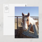 Schläfrige mit Augen Farbe Postkarte (Vorne/Hinten)