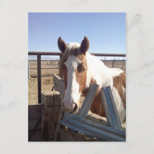 Schläfrige mit Augen Farbe Postkarte