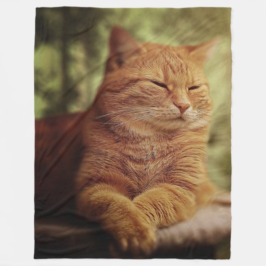 Schläfrige orange Katze auf großer Fleece-Decke Fleecedecke (Vorderseite)