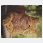 Schläfrige orange Katze auf großer Fleece-Decke Fleecedecke (Vorderseite (Horizontal))