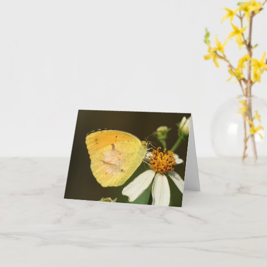 Schläfrige orange Schmetterlings-Anmerkungs-Karte Karte (Gelbe Blume)