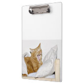 Schläfrige orange Tabbykatze Klemmbrett (Links)