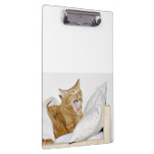 Schläfrige orange Tabbykatze Klemmbrett (Rechts)