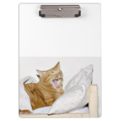 Schläfrige orange Tabbykatze Klemmbrett (Vorderseite)