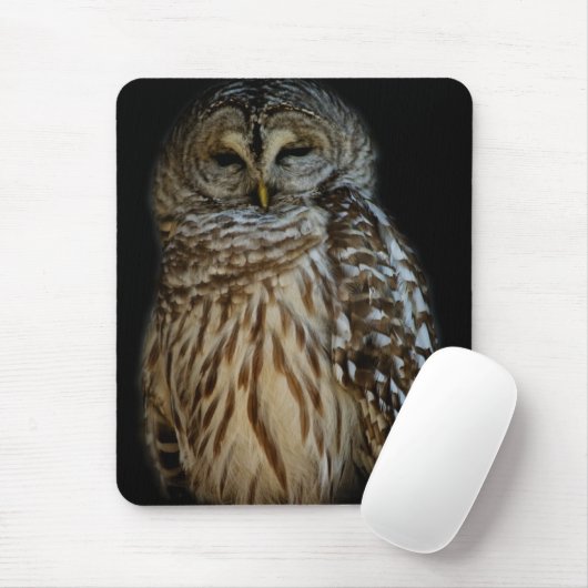 Schläfrige Owl Mousepad (Mit Mouse)