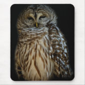 Schläfrige Owl Mousepad (Vorne)