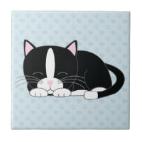Schläfrige Smokings-Katze