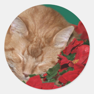 Schläfrige WeihnachtsMiezekatze Runder Aufkleber