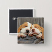 Schläfrige Welpen Button (Vorne & Hinten)