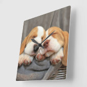 Schläfrige Welpen Quadratische Wanduhr (Winkel)