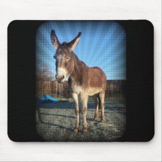 Schläfriger Esel Mousepad