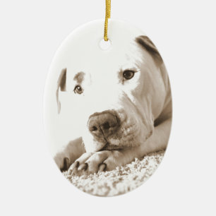 schläfriger freundlicher weißer Pitbull hasst Tat Keramik Ornament
