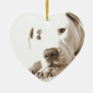 schläfriger freundlicher weißer Pitbull hasst Tat Keramikornament