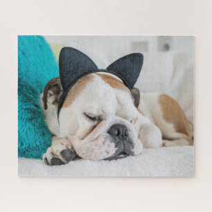 Schläfriger Hund Getty Bild-  mit Katzen-Stirnban Puzzle