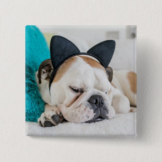 Schläfriger Hund Getty Bild-| mit Katzen-Stirnband Button (Vorderseite)