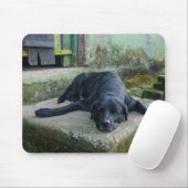 Schläfriger Hund Mousepad (Mit Mouse)