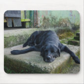 Schläfriger Hund Mousepad (Vorne)