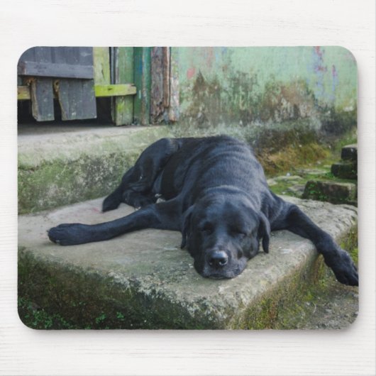 Schläfriger Hund Mousepad (Vorne)