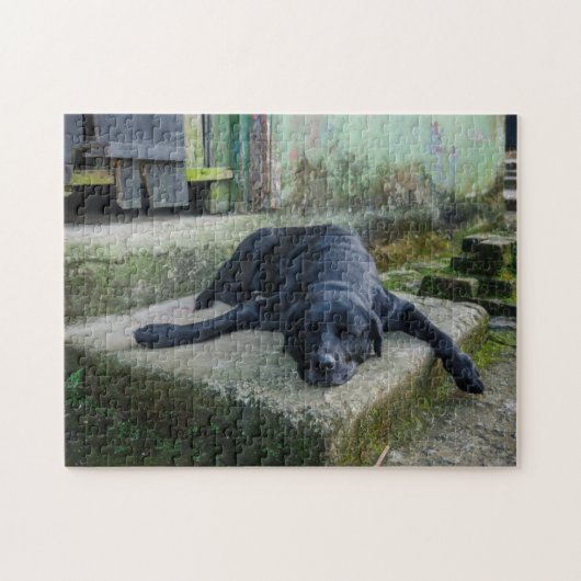 Schläfriger Hund Puzzle (Horizontal)