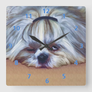Schläfriger Hund Shih Tzu Quadratische Wanduhr