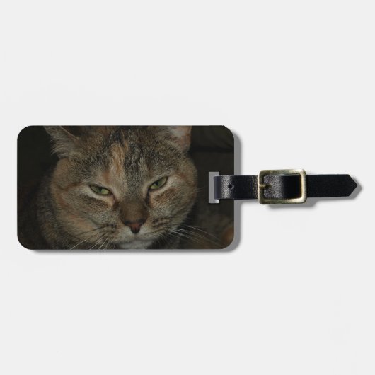 Schläfriger Katzen-Gepäckanhänger Gepäckanhänger (Vorderseite horizontal)