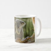 Schläfriger Koala-Bär Kaffeetasse (VorderseiteRechts)