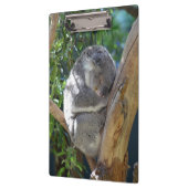 Schläfriger Koala Klemmbrett (Links)