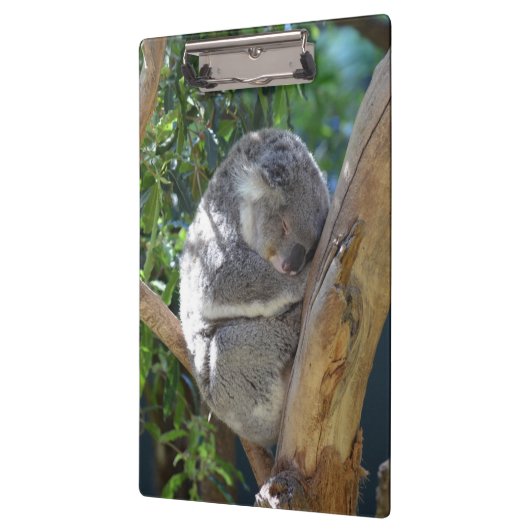 Schläfriger Koala Klemmbrett (Links)