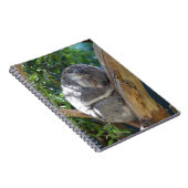 Schläfriger Koala Notizblock (Rechte Seite)