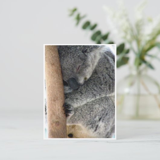 schläfriger Koala Postkarte (Stehend Vorderseite)