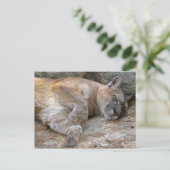 Schläfriger Kopf Postkarte (Stehend Vorderseite)