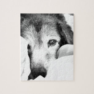 schläfriger Kuschelhund auf Bett schwarz weiß Puzzle