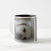 SCHLÄFRIGER LABRADOR ZWEIFARBIGE TASSE (Vorderseite Links)
