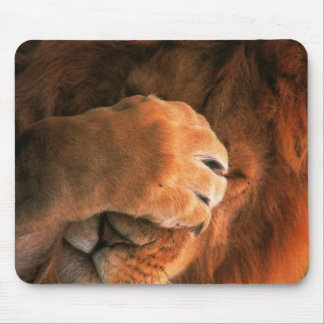 Schläfriger Löwe Mousepad